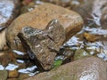 Heart of stone shaped rock Royalty Free Stock Photo