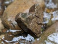 Heart of stone shaped rock in the river Royalty Free Stock Photo