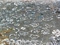 Heart stones laid out on a flat rock