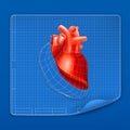 Heart structure blueprint