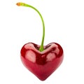 Heart Sweet Cherry. Love Cherry. Valentine`s Day. Cherries Fresh juicy berries. Grocery store advertising.