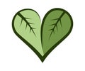 Heart symbol formed by two leaves. Outline heart. Vegan logo Royalty Free Stock Photo