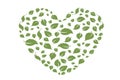 Heart symbol in green leaves. Vector. eco bio leaves in heart love green icon on white background. Royalty Free Stock Photo