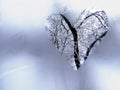 The heart is a symbol of love on a frozen winter window. Royalty Free Stock Photo