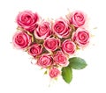 Heart symbol made of fresh pink-red Rose flowers isolated on white background. Royalty Free Stock Photo