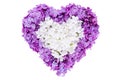 Heart symbol made of fresh violet Lilac flowers isolated on white background. Royalty Free Stock Photo