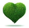 Heart symbol made of grass Royalty Free Stock Photo