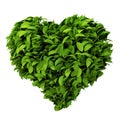 Heart symbol made of leafs