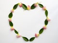 Heart symbol made of persian silk tree flowers and green leaves on white background. Floral arranged composition heart Royalty Free Stock Photo