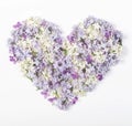 Heart symbol made of spring lilac flowers isolated on white background. Flat lay. Royalty Free Stock Photo