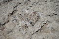 Heart symbol made of stones on the beach in Pefki. Pefkos or Pefki, Rhodes island, Greece Royalty Free Stock Photo