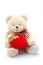 Heart teddy bear Royalty Free Stock Photo