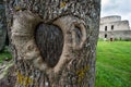 Heart tree Royalty Free Stock Photo