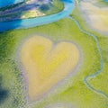 Heart of Voh, aerial view, mangroves trees form heart seen from above, New Caledonia, Micronesia. Heart of Earth. Earth from above Royalty Free Stock Photo