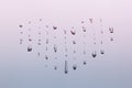 The heart of water droplets. Royalty Free Stock Photo