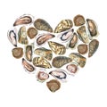 Heart with watercolor oysters on white