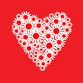 Heart of white daisies Royalty Free Stock Photo