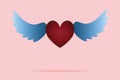 Heart with wings. Colored vector illustration. Bloody heart. Isolated background. Valentines day. The heart soars in the air.