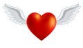 The heart with wings for Valentine`s Day or weddings