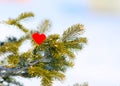 Heart on a winter branch Christmas tree.