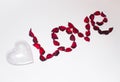 Heart and word love laid out from artificial flowers on a white background Royalty Free Stock Photo