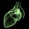 Heart X-Ray 2 Royalty Free Stock Photo