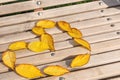 A heart of yellow-brown autumn leaves laid out on a wooden bench.