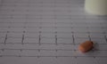 Heartbeat represented on paper. Electrocardiogram with selective focus. Representation of cardiac arrhythmias