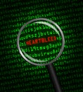 Heartbleed revealed in computer code through a mag