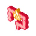 Heartburn stomach isometric icon vector illustration