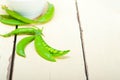 Hearthy fresh green peas Royalty Free Stock Photo