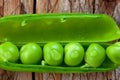 Hearthy fresh green peas and pods on rustic wooden background.