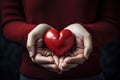 Hearts in hands symbolic gesture of affection Heart in woman hands Love giving, care, health, protection Royalty Free Stock Photo