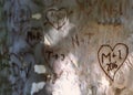 Hearts With Letters And Initials Of People In Love Engraved Carved On A Tree Trunk, Romantic Image, Being In Love Concept