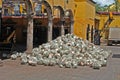 Hearts pinas of agave cactus on the ground of distillery prepared for tequila production Mexico