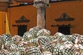 Hearts pinas of agave cactus on the ground of distillery prepared for tequila production Mexico