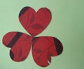 Heartshape cutting pappers isolated on green background