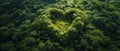 A Heartshaped Formation Naturally Occurring In A Lush Green Forest Copy Space Available