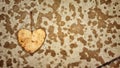 Heartshaped leaf Royalty Free Stock Photo