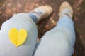 Heartshaped yellow autumn leaf