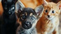 A heartwarming close-up of fluffy puppies and a cuddly kitten