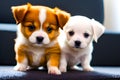 Cute dog puppies looking into the camera generated by ai Royalty Free Stock Photo