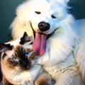 Unlikely Friends: A Dog and Cat\'s Loving Bond