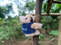 Stuffed Koala Amidst Nature\'s Embrace