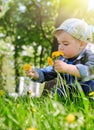 Heartwarming portrait of boy in field of dandelions.