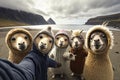 Family of four dogs taking a selfie at Reynisfjara beach in Iceland