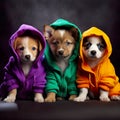 heartwarming scene, cute and curious dogs find a cozy haven under a warm clothes