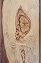 Heartwood of oak board