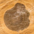 Heartwood texture background