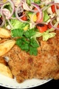 Hearty Chicken Schnitzel 2 Royalty Free Stock Photo